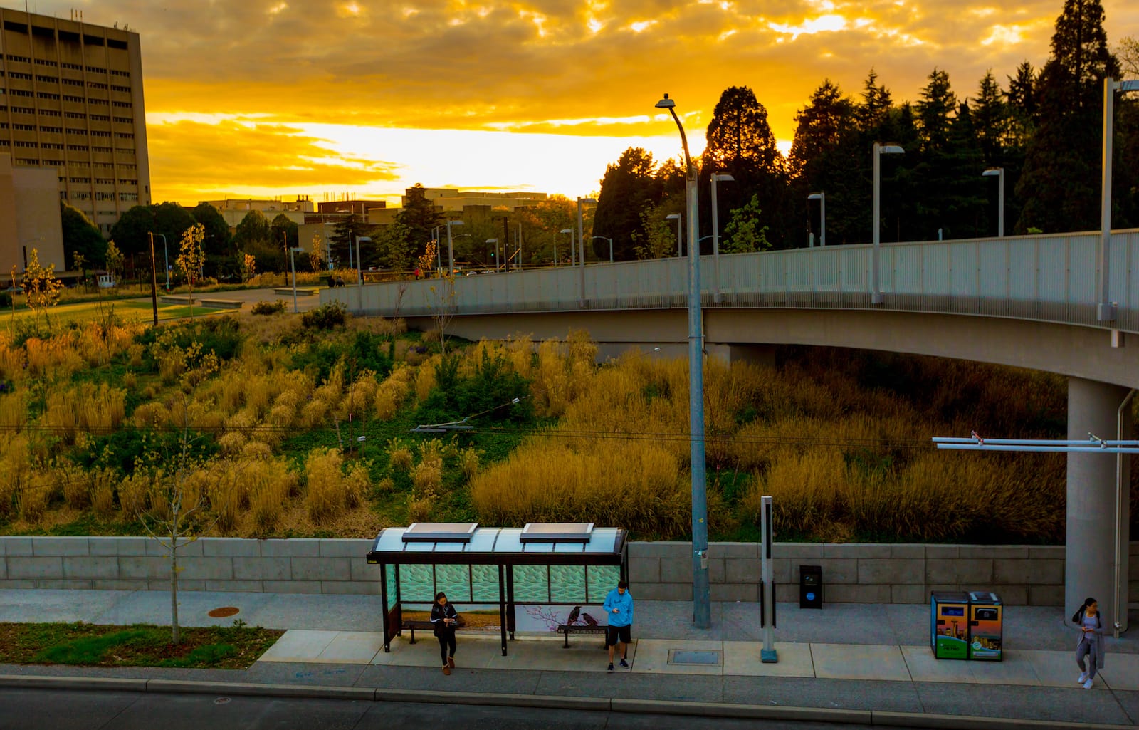 Solar lighting Urban Solar bus stops in Seattle